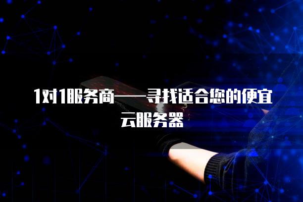 1对1服务商——寻找适合您的便宜云服务器