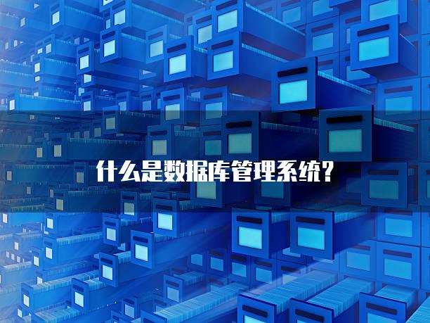 什么是数据库管理系统？
