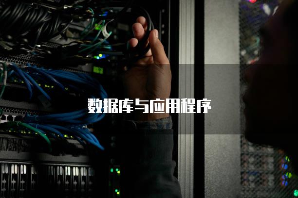 数据库与应用程序之间的接口：支持数据库吗？为什么？