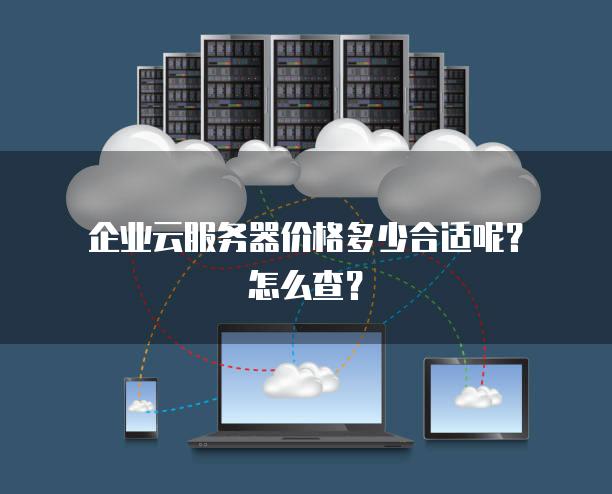 企业云服务器价格多少合适呢？怎么查？