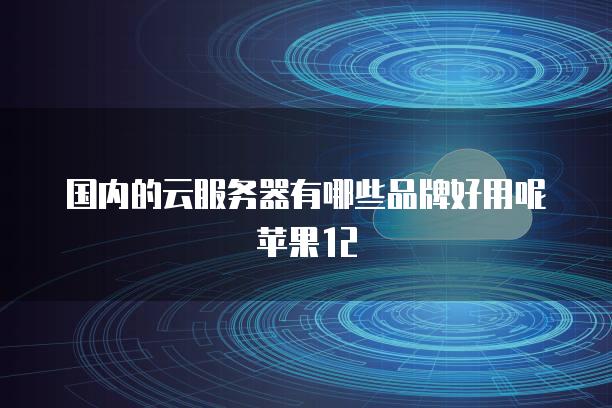 国内的云服务器有哪些品牌好用呢苹果12