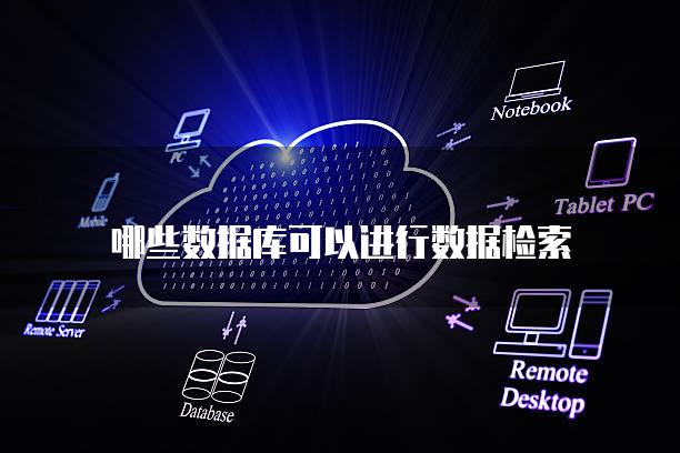 哪些数据库可以进行数据检索