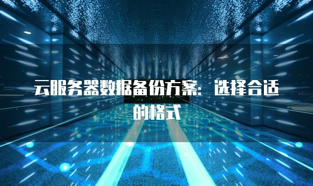 云<strong>服务器</strong>数据备份方案：选择合适的格式