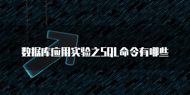 数据库应用实验之SQL命令有哪些