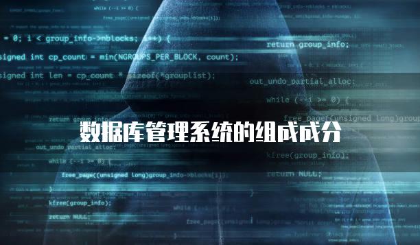 数据库管理系统的组成成分