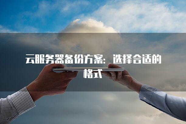 云<strong>服务器</strong>备份方案：选择合适的格式