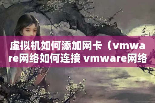 虚拟机如何添加网卡（vmware网络如何连接 vmware网络连接方式【介绍】）
