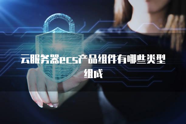 云<strong>服务器</strong>ecs产品组件有哪些类型组成