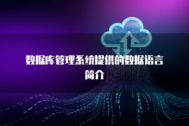 数据库管理系统提供的数据语言简介