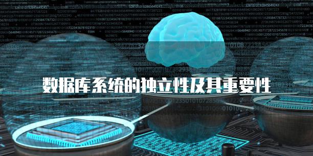 数据库系统的独立性及其重要性