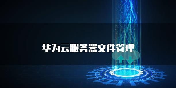 华为云<strong>服务器</strong>文件管理