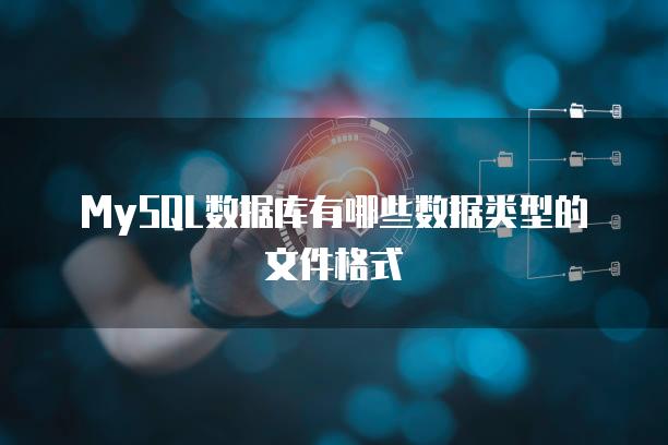 MySQL数据库有哪些数据类型的文件格式