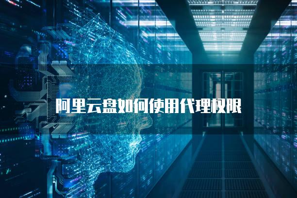 阿里云盘如何使用代理权限