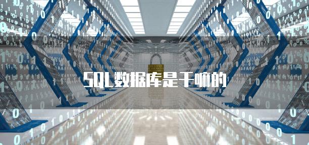 SQL数据库是干嘛的