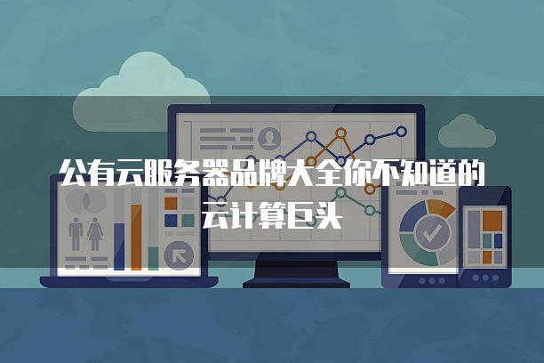 公有云<strong>服务器</strong>品牌大全你不知道的云计算巨头