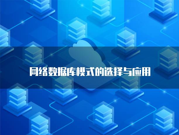 网络数据库模式的选择与应用
