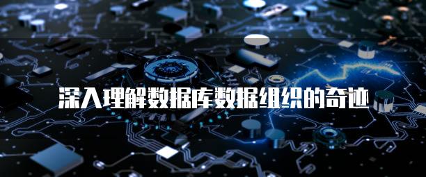 深入理解数据库数据组织的奇迹