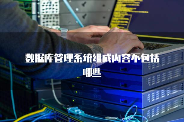 数据库管理系统组成内容不包括哪些