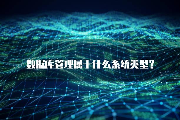 数据库管理属于什么系统类型？