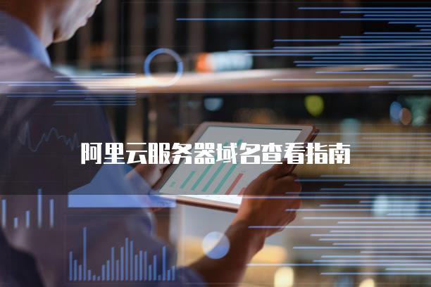 阿里云服务器域名查看指南