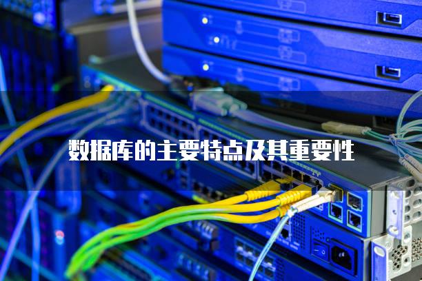 数据库的主要特点及其重要性