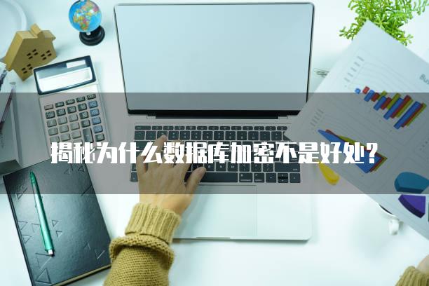 揭秘为什么数据库加密不是好处？