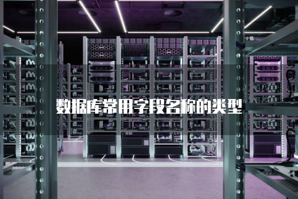 数据库常用字段名称的类型