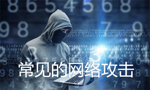 常见的网络攻击有哪些形式?