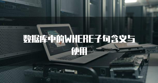 数据库中的WHERE子句含义与使用