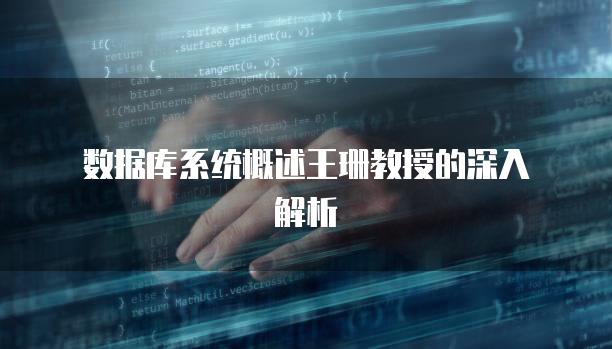 数据库系统概述王珊教授的深入解析