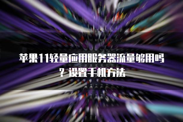 苹果11轻量应用服务器流量够用吗？设置手机方法