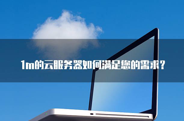 1m的云<strong>服务器</strong>如何满足您的需求？