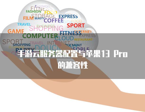 手游云<strong>服务器</strong>配置与苹果13 Pro的兼容性