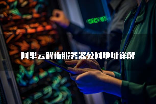 阿里云解析服务器公网地址详解