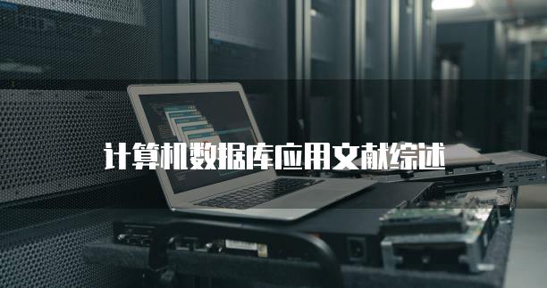 计算机数据库应用文献综述