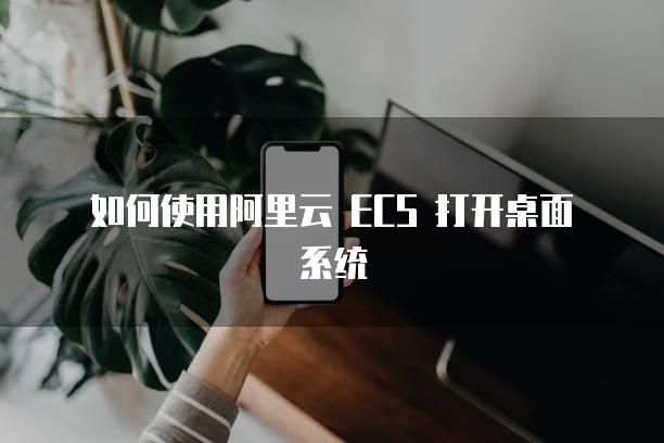 如何使用阿里云 ECS 打开桌面系统