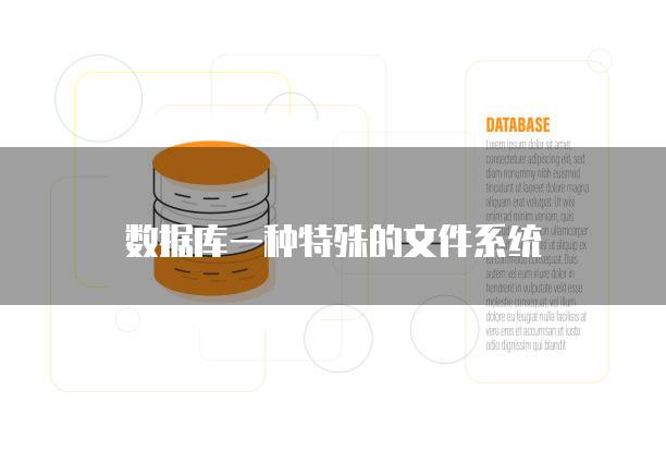 数据库一种特殊的文件系统