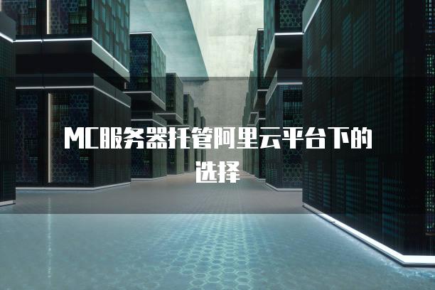 MC服务器托管阿里云平台下的选择