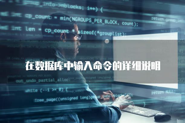 在数据库中输入命令的详细说明