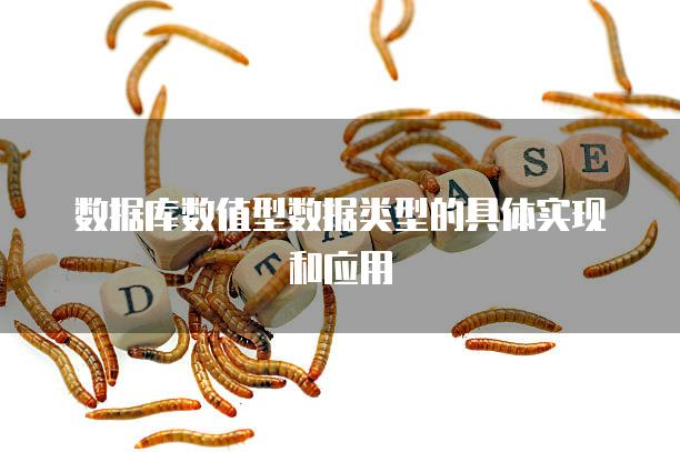 数据库数值型数据类型的具体实现和应用