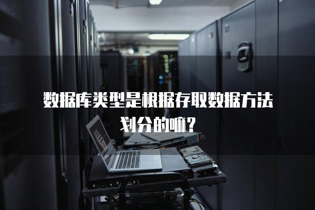 数据库类型是根据存取数据方法划分的嘛？