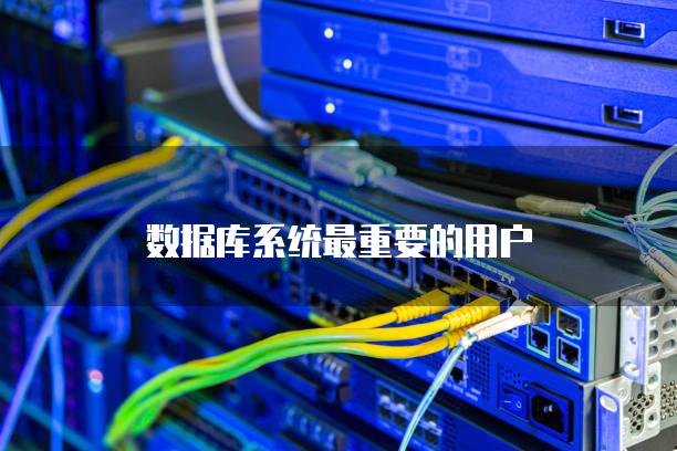 数据库系统最重要的用户