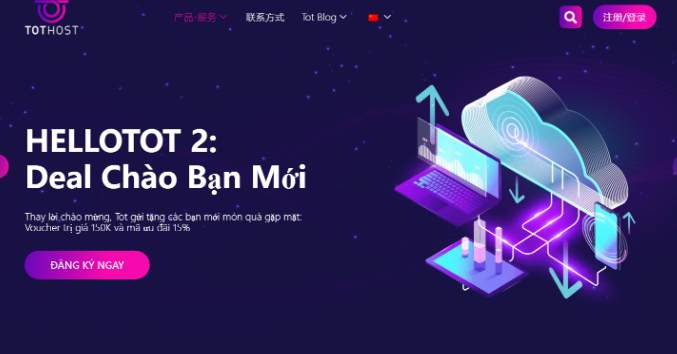 Tothost越南VPS/1核/512M内存/8G SSD/不限流量/100M带宽/KVM/月付$2.4/原生IP/三网绕美/适合做落地