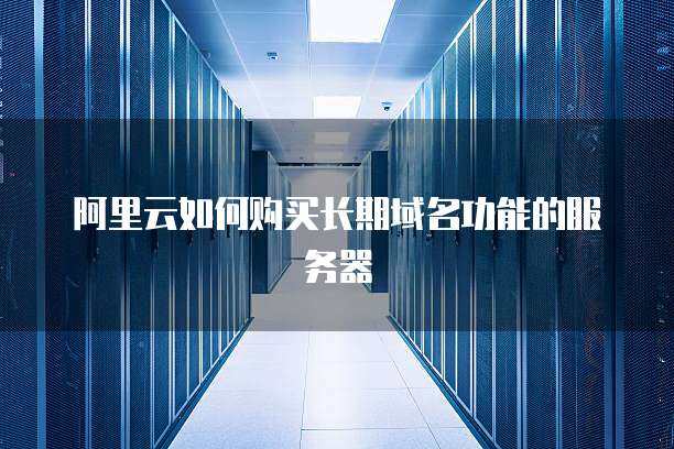 阿里云如何购买长期域名功能的服务器