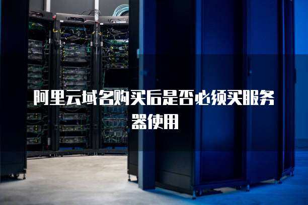 阿里云域名购买后是否必须买服务器使用