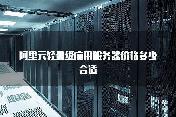 阿里云轻量级应用服务器价格多少合适