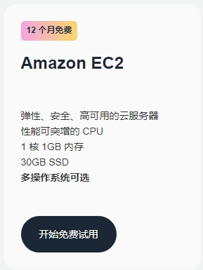 亚马逊云科技Amazon EC2构建通义千问大模型教程
