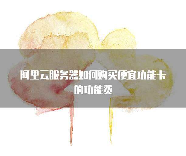 阿里云服务器如何购买便宜功能卡的功能费