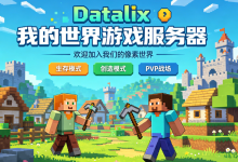 Datalix我的世界游戏服务器低至0.99欧元/月-全球服务器测评